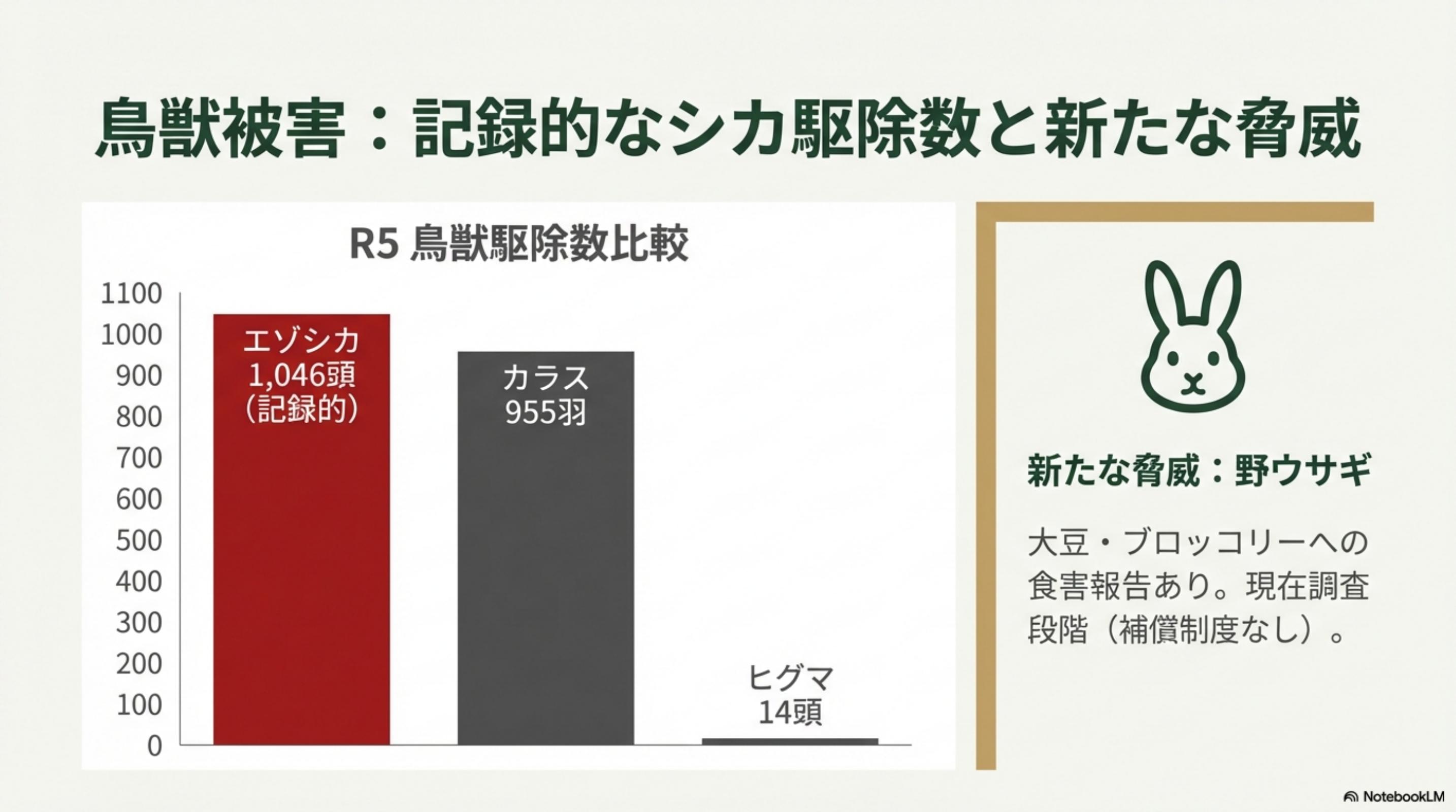 スライド 13 ページ目