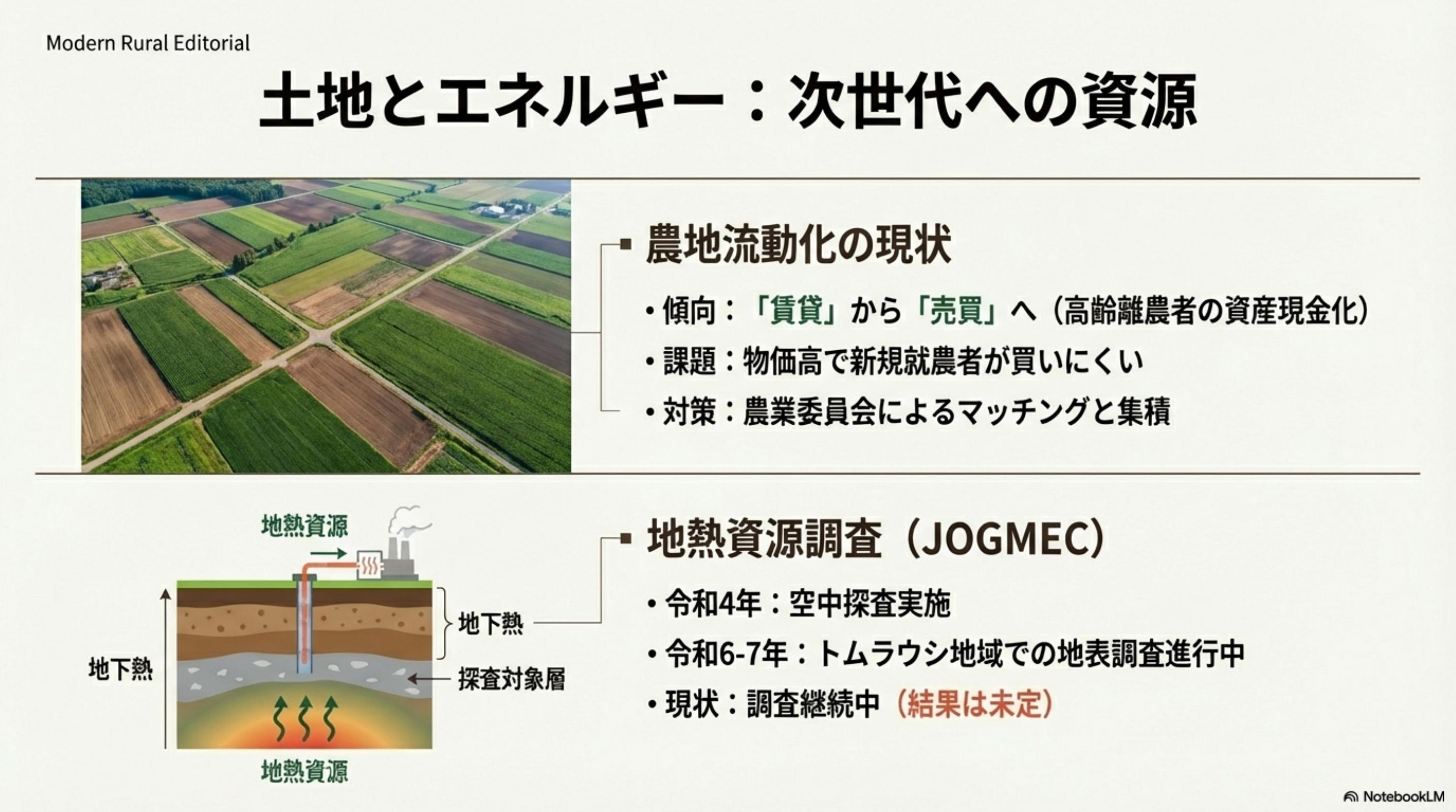 スライド 11 ページ目